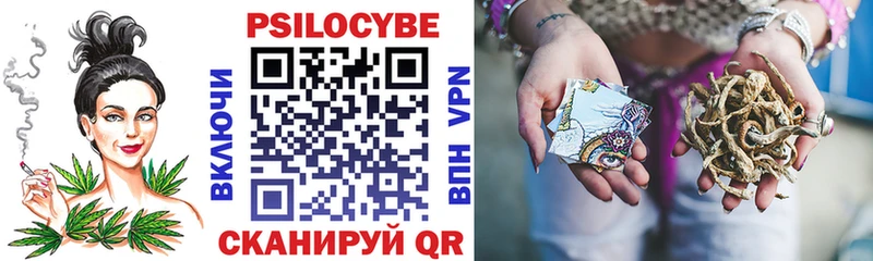 закладка  Верея  Галлюциногенные грибы Psilocybe 